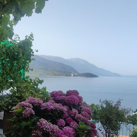 Villa Malezan Οχρίδα Εξωτερικό φωτογραφία