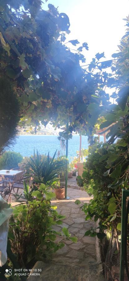 Villa Malezan Οχρίδα Εξωτερικό φωτογραφία