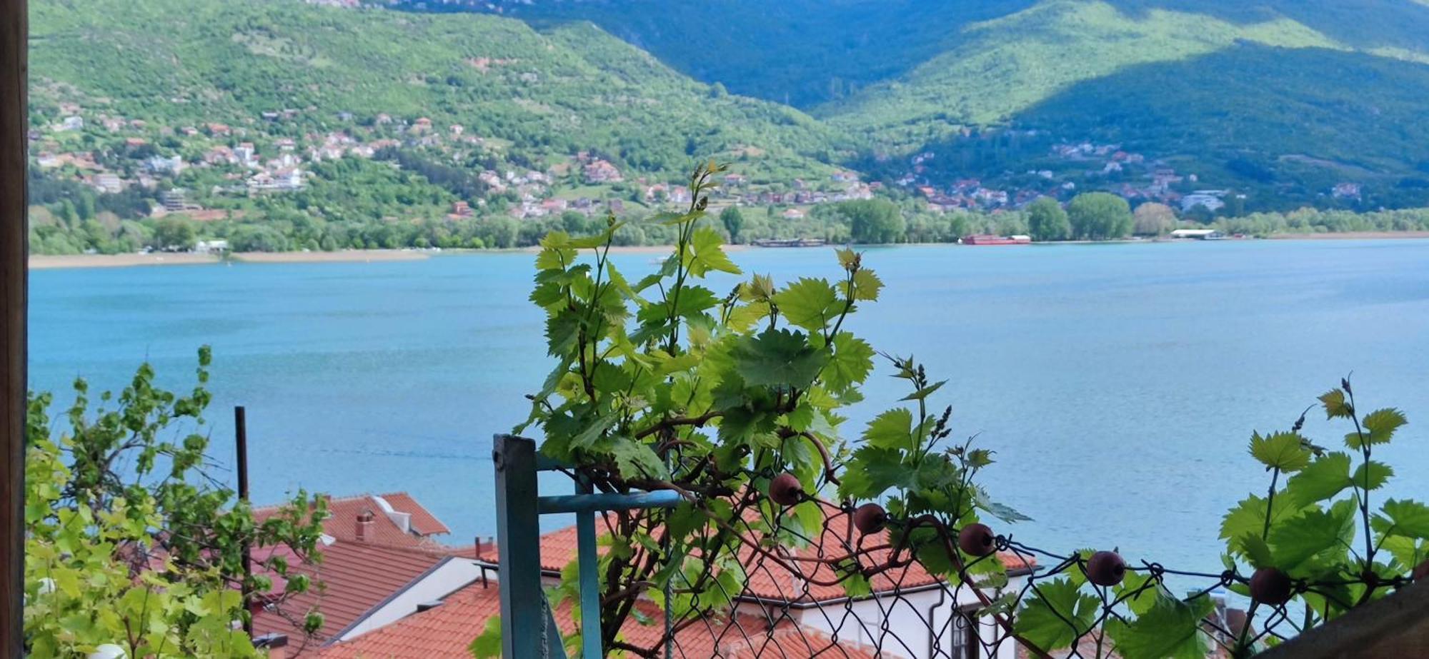 Villa Malezan Οχρίδα Εξωτερικό φωτογραφία
